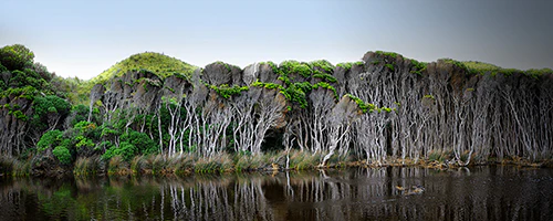 Gavekort til Australian Bodycare webshop - Image 2